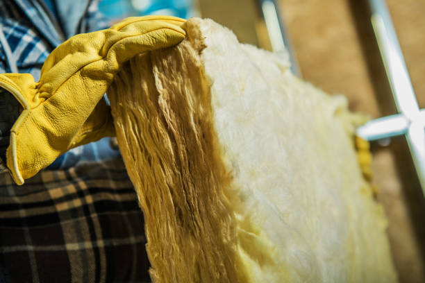 Best Spray Foam Insulation in Ferris, TX